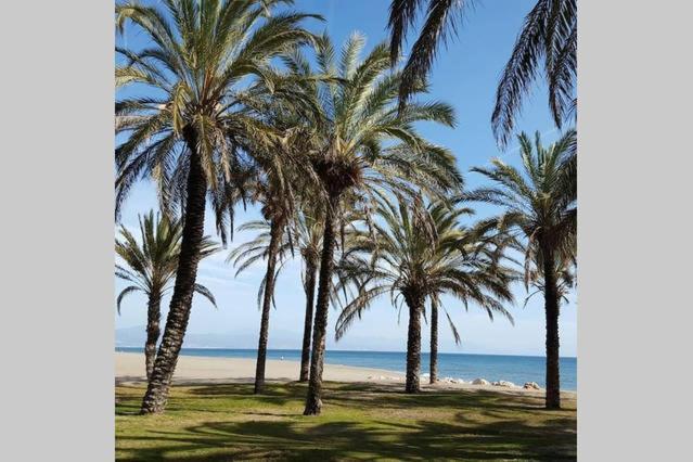 Apartamento Minerva Jupiter. The Perfect Accommodation For Your Vacation Benalmádena Dış mekan fotoğraf